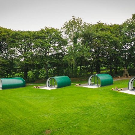 Further Space At Thornfield Luxury Glamping Pods, The Dark Hedges, Ballycastle Ballymoney Eksteriør billede