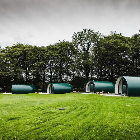 Further Space At Thornfield Luxury Glamping Pods, The Dark Hedges, Ballycastle Ballymoney Eksteriør billede
