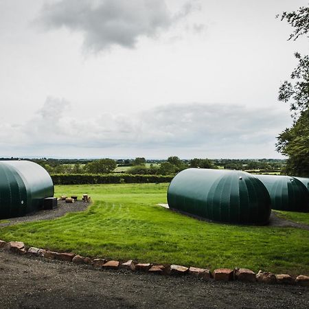 Further Space At Thornfield Luxury Glamping Pods, The Dark Hedges, Ballycastle Ballymoney Eksteriør billede