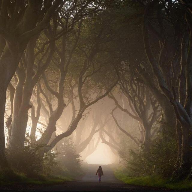 Further Space At Thornfield Luxury Glamping Pods, The Dark Hedges, Ballycastle Ballymoney Eksteriør billede