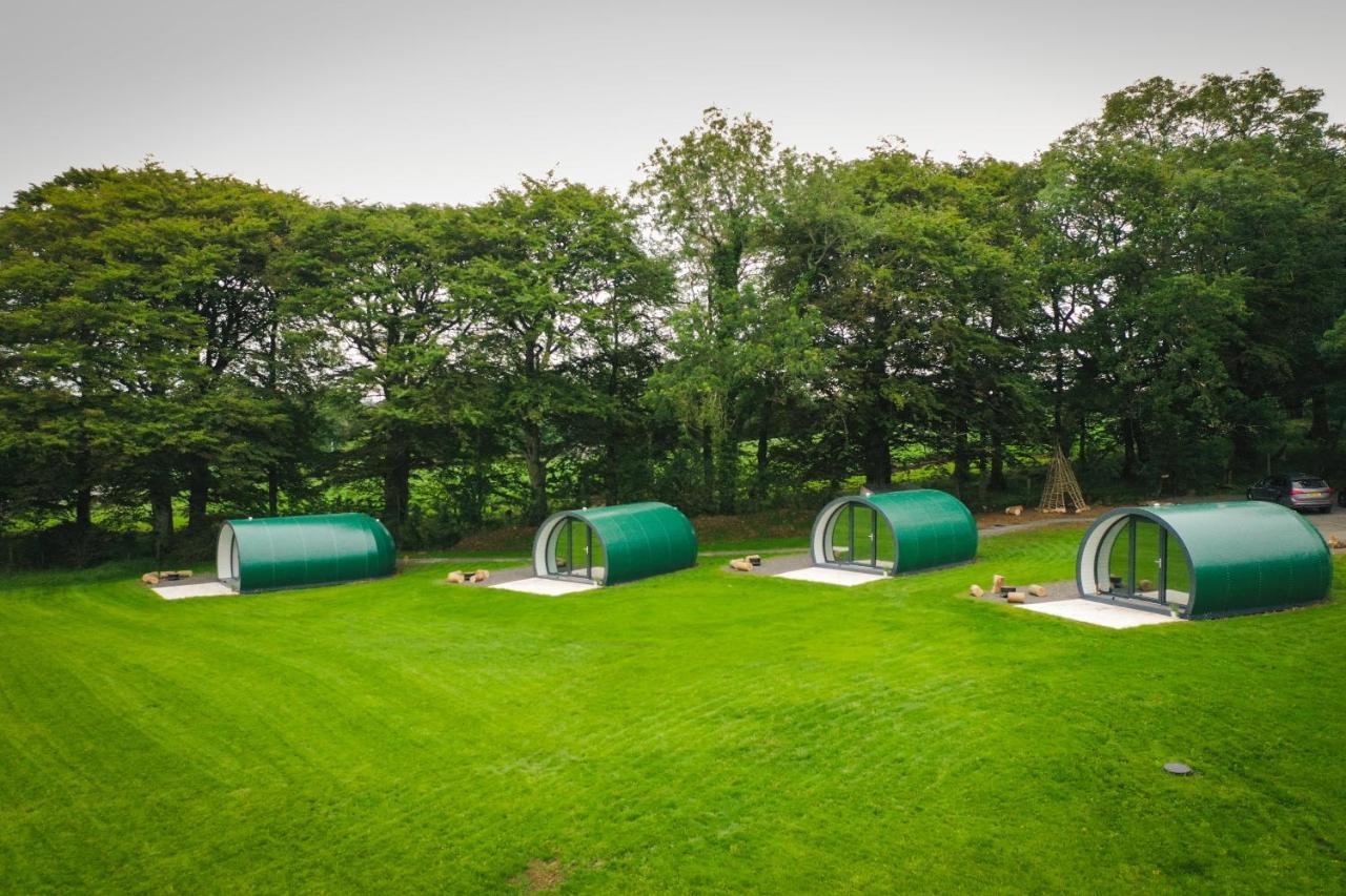 Further Space At Thornfield Luxury Glamping Pods, The Dark Hedges, Ballycastle Ballymoney Eksteriør billede