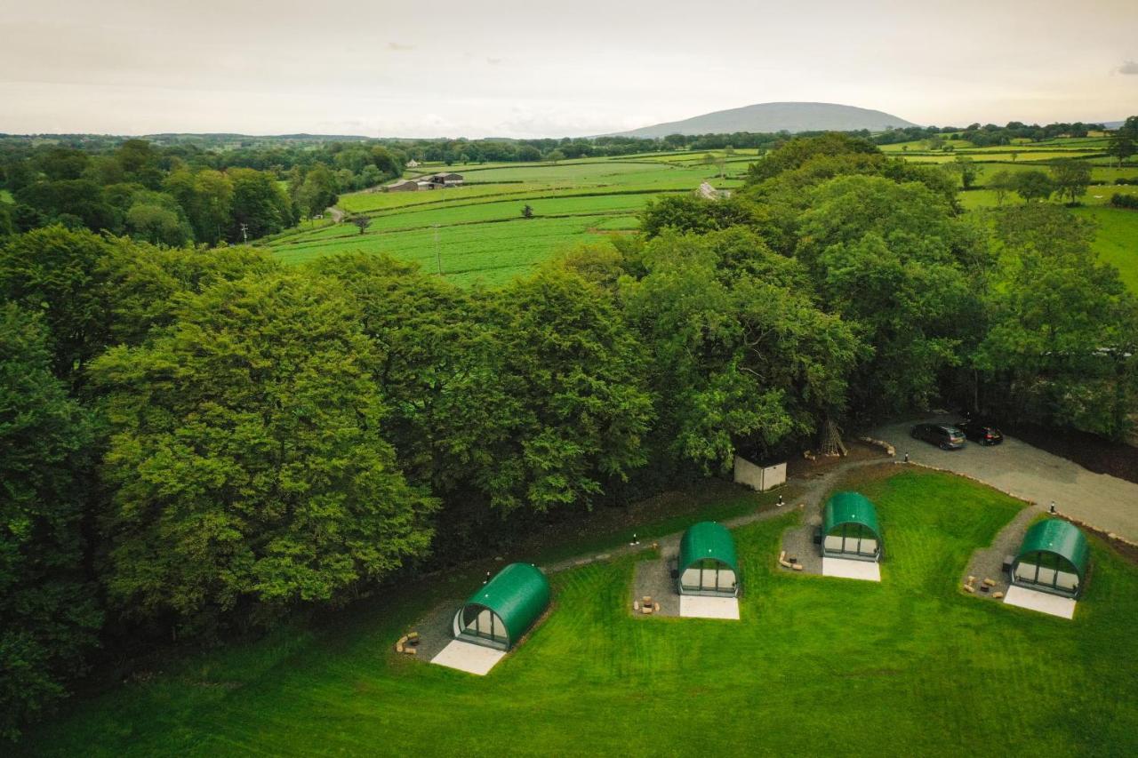 Further Space At Thornfield Luxury Glamping Pods, The Dark Hedges, Ballycastle Ballymoney Eksteriør billede