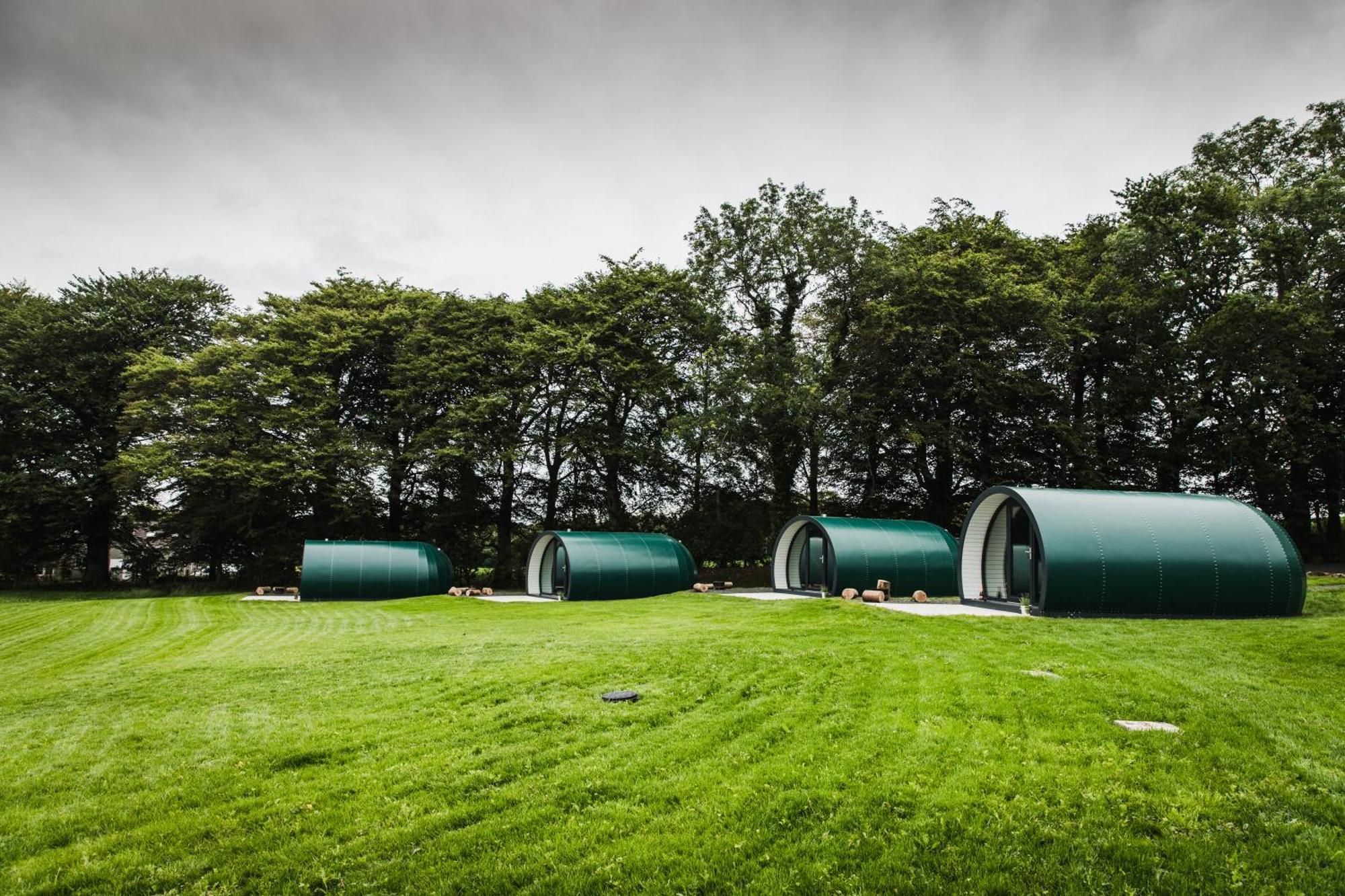 Further Space At Thornfield Luxury Glamping Pods, The Dark Hedges, Ballycastle Ballymoney Eksteriør billede